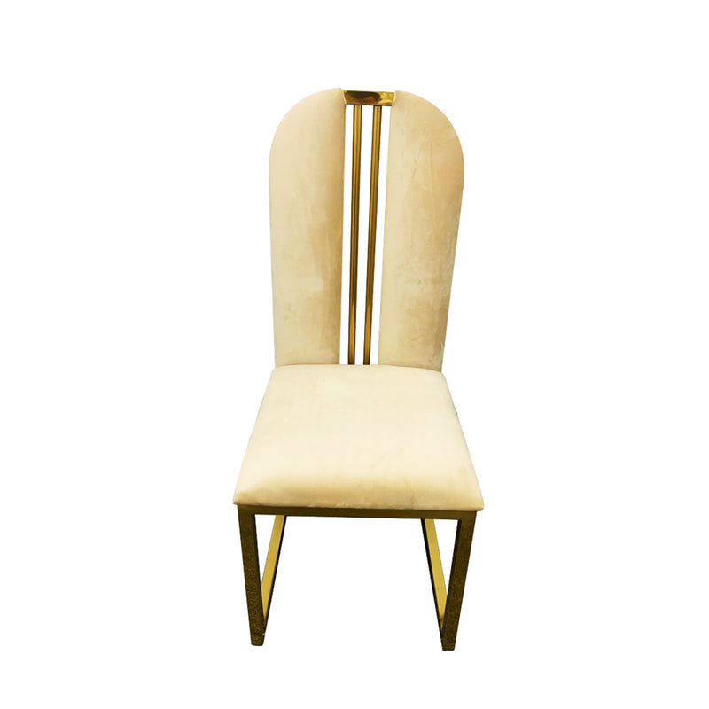 Fancy 2X Dining Chair Gold Frame Seat In Multiple Colour Fabric