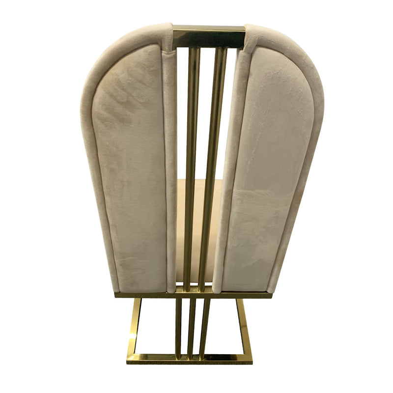 Fancy 2X Dining Chair Gold Frame Seat In Multiple Colour Fabric