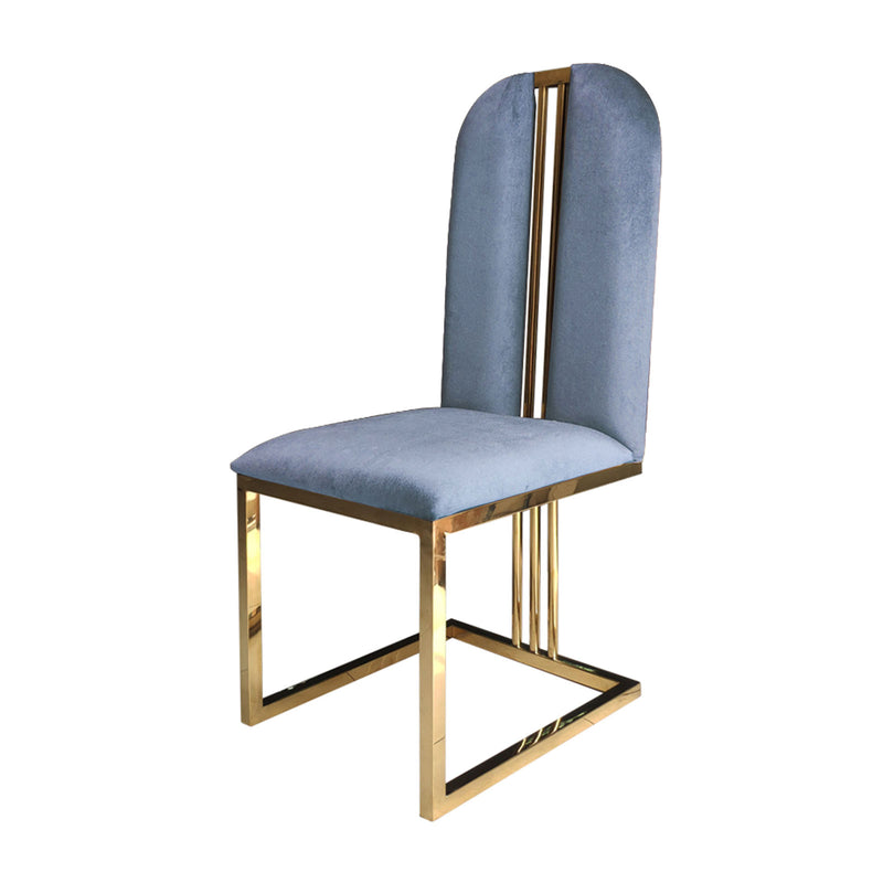 Fancy 2X Dining Chair Gold Frame Seat In Multiple Colour Fabric