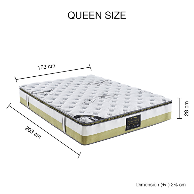 Hypo-Allergenic Memory Pillow Top Pocket Spring Medium Firm Queen Mattress