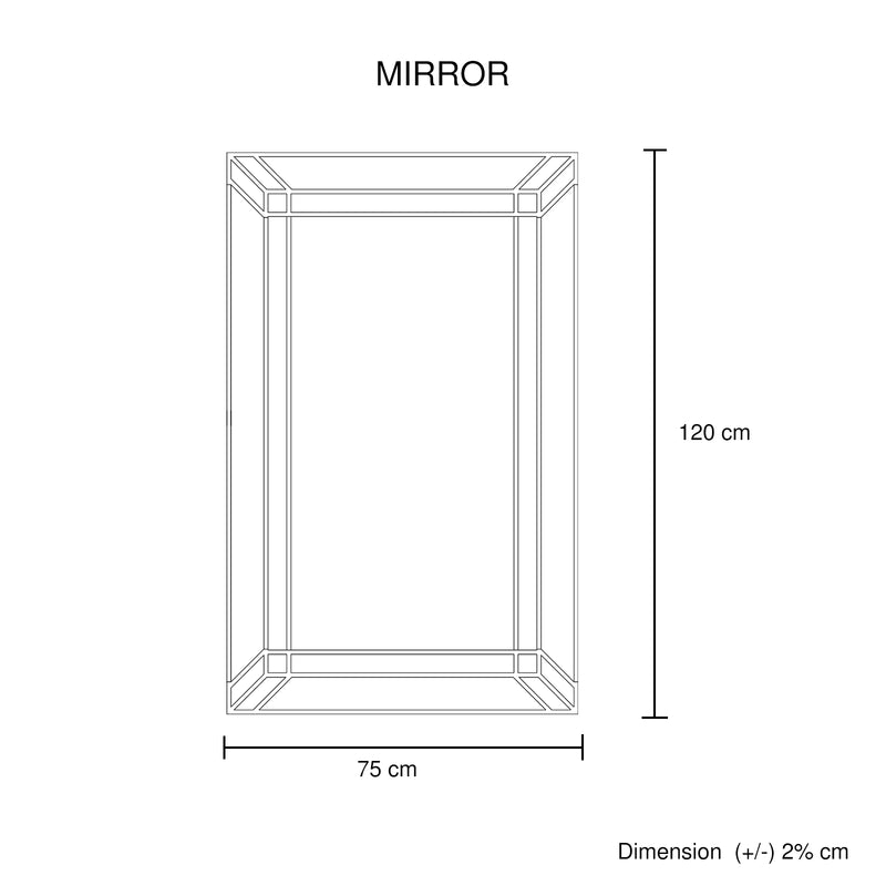 Antique Rectangular Gold Mirror Double Layer Border MDF Construction
