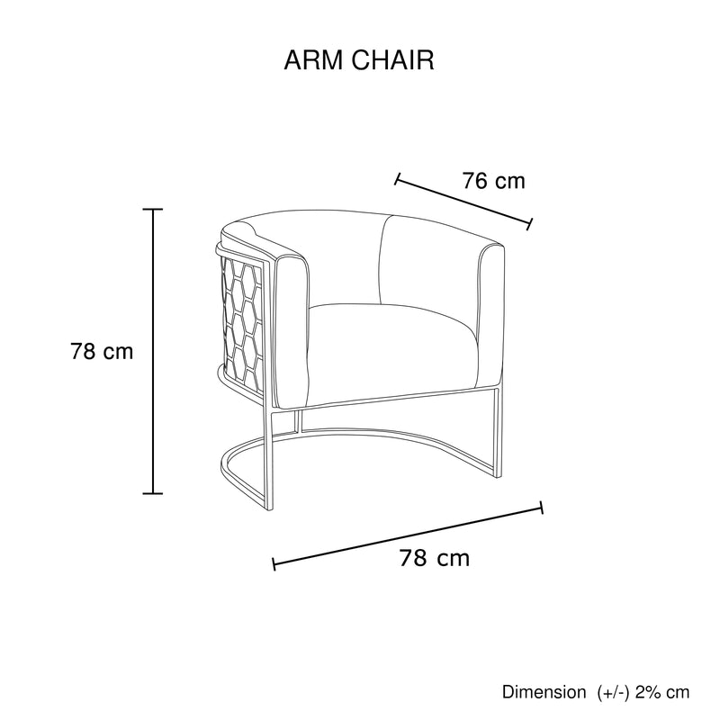 Vintage Arm Chair Black Velvet Stainless Steel Frame Leg Golden Colour